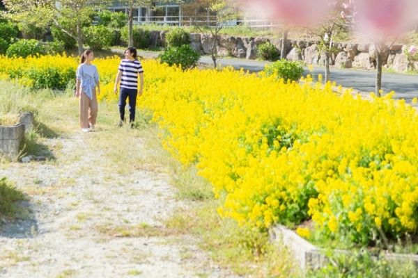 千葉でのパパ活をする際の注意点