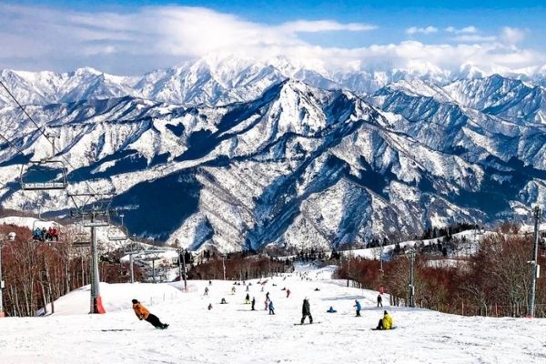 新潟のパパはお金持ち?