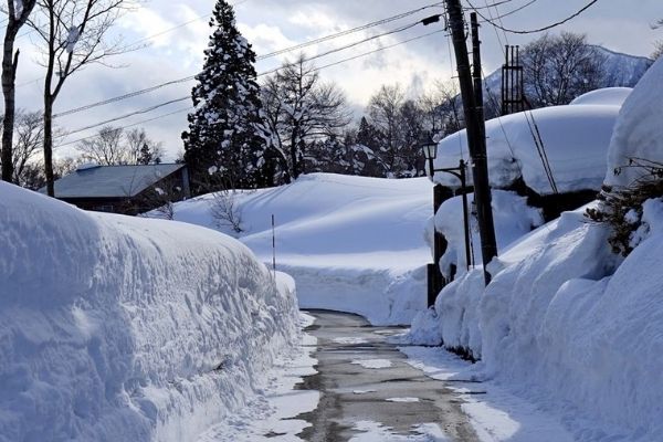 新潟の男性は真面目でちょっと見栄っ張りな面も